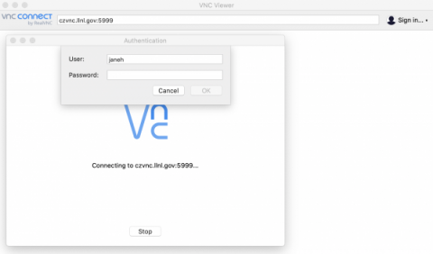 VNC authentication window