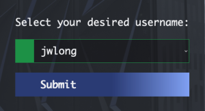 Screenshot of username submission panel