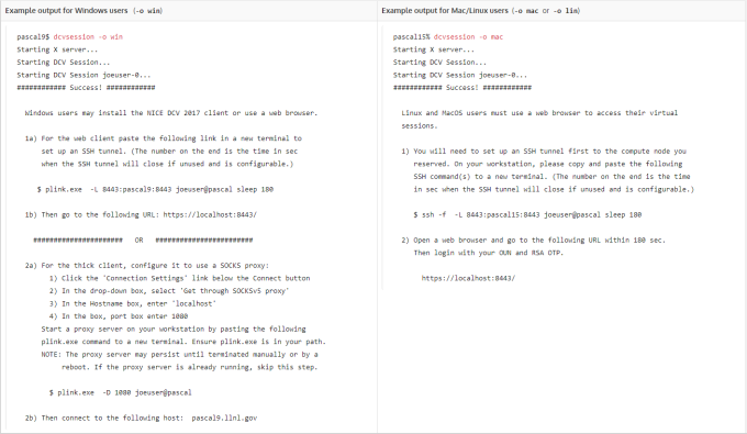 dcvsession output examples