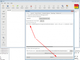 STAT displaying the jsrun process window, screenshot